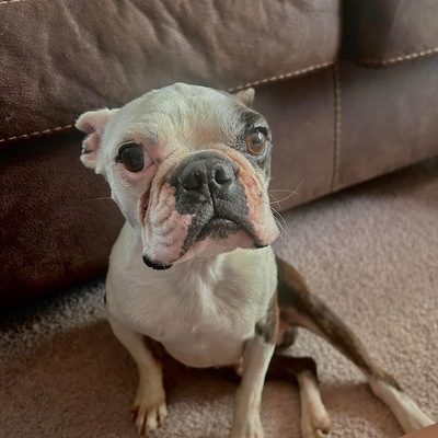 Buster