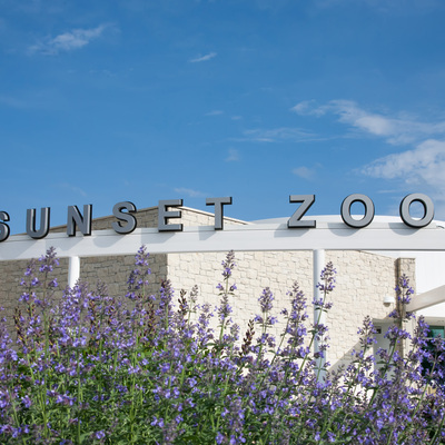 Open 360 days a year! Sunset Zoo is the home for over 150 amazing animals and learning opportunities