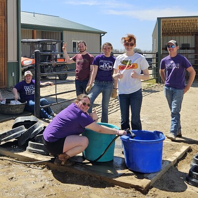 Volunteering at Rainbow Meadows