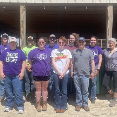 Volunteering at Rainbow Meadows Equine Rescue