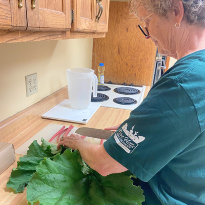FHBB volunteer prepping rhuhbarb for guests in The Market